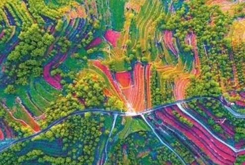 ӱ2025ֲݲҵֵܲ1800Ԫ