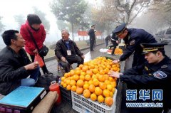 浙江省嘉善县开展创先争优活动见闻