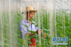 湖北省赤壁市开展创先争优活动见闻