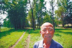 ɫ޹Ҳ 30̻500ĶɳĮ