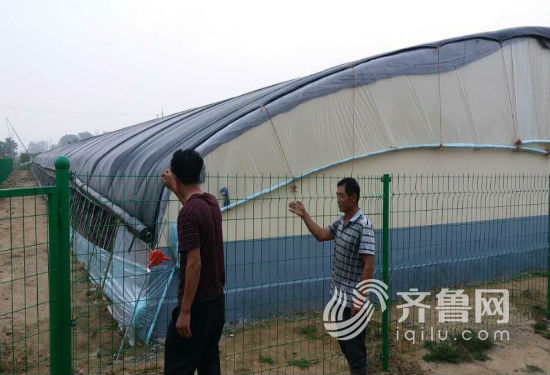 李家疃村蘑菇大棚