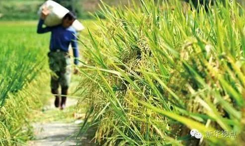 中央深改组再开会,12项改革方案新鲜出炉