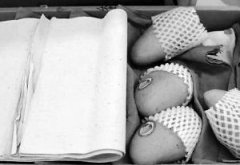 һâ25ֽռ9 ̼ң׬ľЩֽ