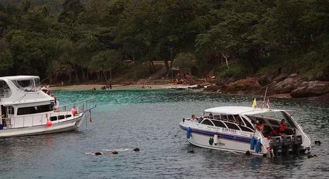 新版汽车产业投资管理规定即将落地,新能源汽车资质审核或重启