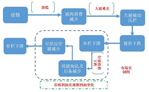 生猪养殖除了价格风险,疫情风险对养殖户及养殖企业影响较大,特别是大范围的疫情,可能会导致猪价大幅波动。一般情况下疫情造成生猪死亡数量占总存栏比例较少,不会对生猪供应产生实际性影响,疫情更多是通过影响消费预期及养殖户预期改变短中期猪价走势。