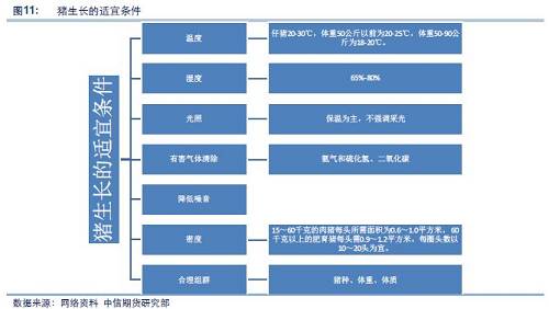 【中信期货】农产品专题:一文读懂饲料生猪产业链