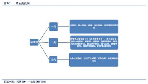 【中信期货】农产品专题:一文读懂饲料生猪产业链