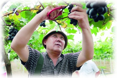 71գ֣ҶƺϪĺѻزժѡ